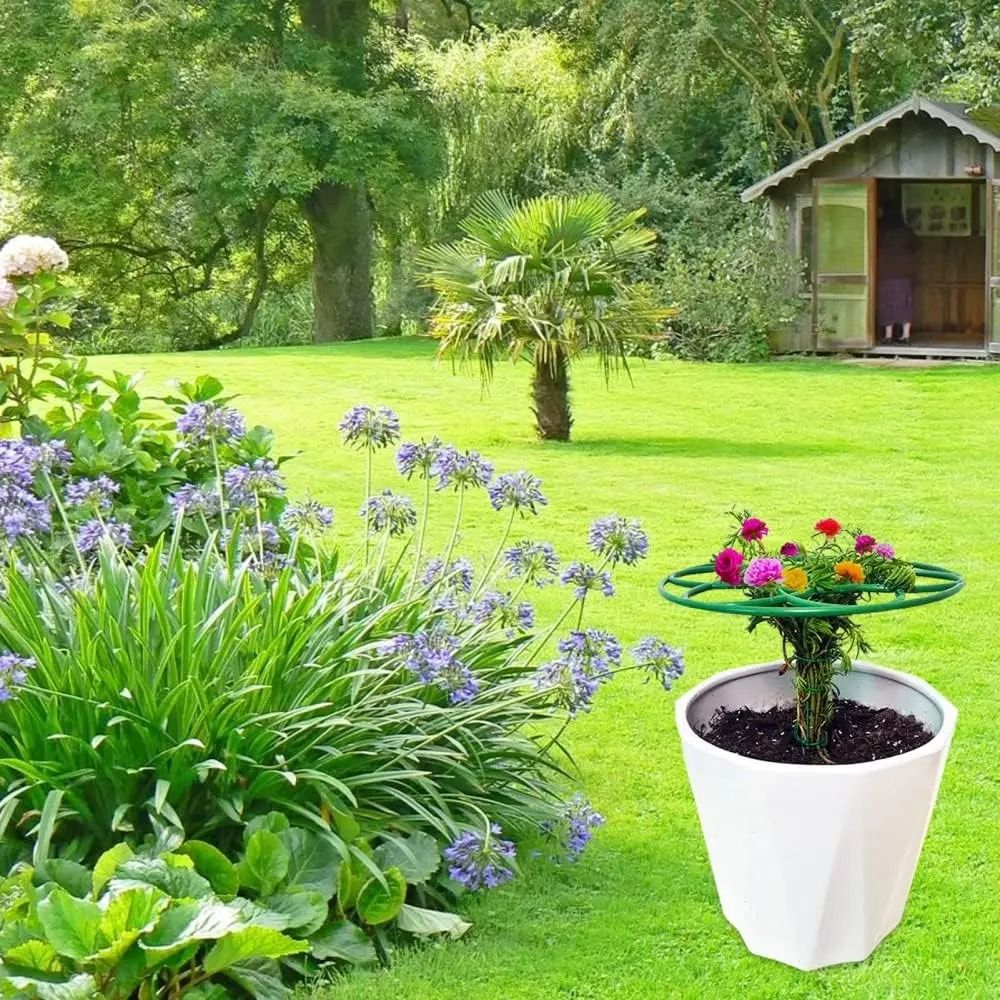 Bonsai Garden Stand - Rak Tanaman Bonsai S/M/L Baru, Dapat