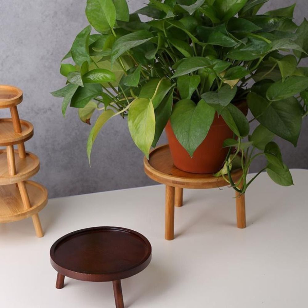Bonsai Garden Stand - Tempat Vas Bunga Sukulen Kreatif, Dekorasi
