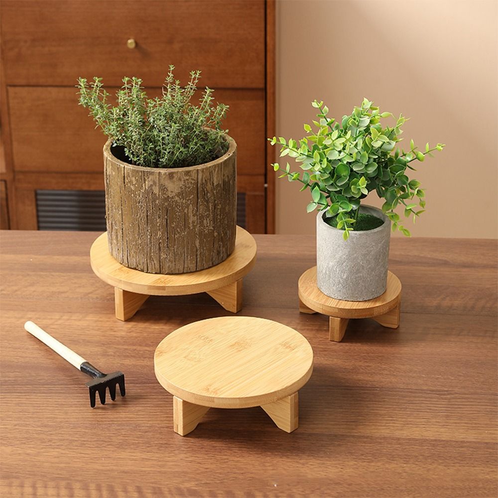 Stand Bonsai Kayu untuk Dipaja - Bonsai Garden Stand ulasan dan harga