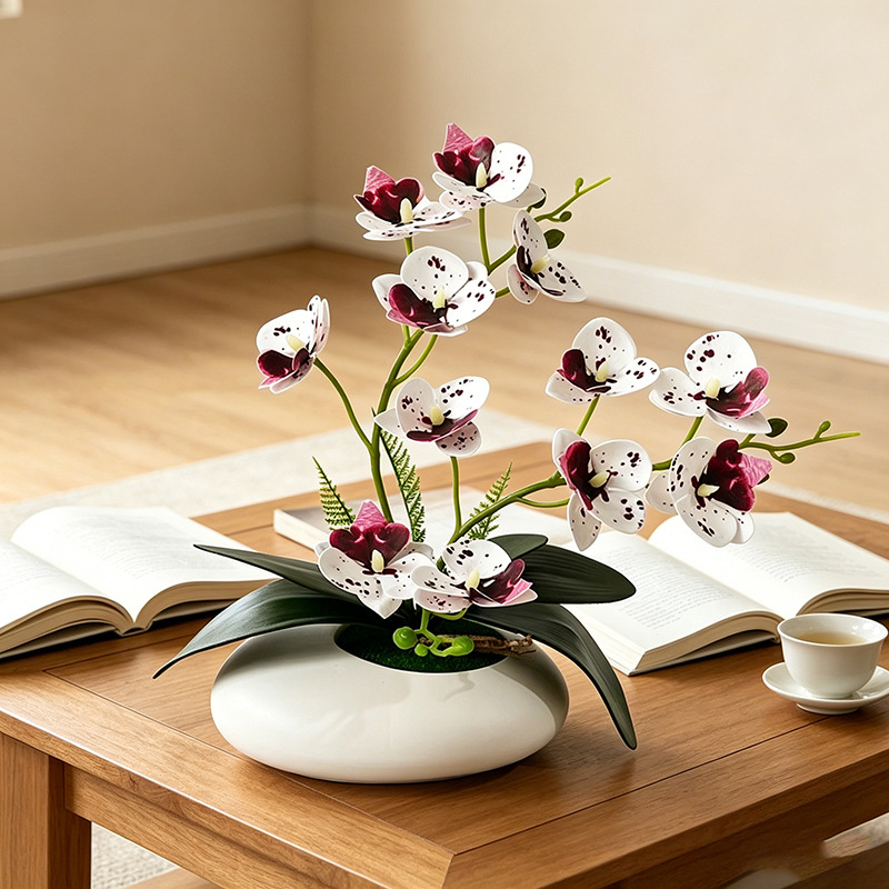 Anggrek Kupu-kupu 12 Bunga Bon - Bonsai Garden Decor ulasan dan harga