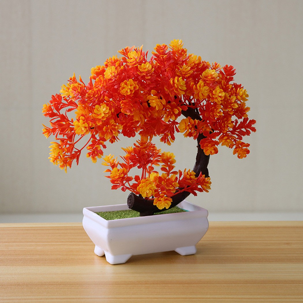 Ornamen bonsai dalam pot plast - Bonsai Garden Desk ulasan dan harga