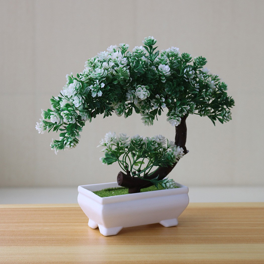 Ornamen bonsai dalam pot plast - Bonsai Garden Desk ulasan dan harga