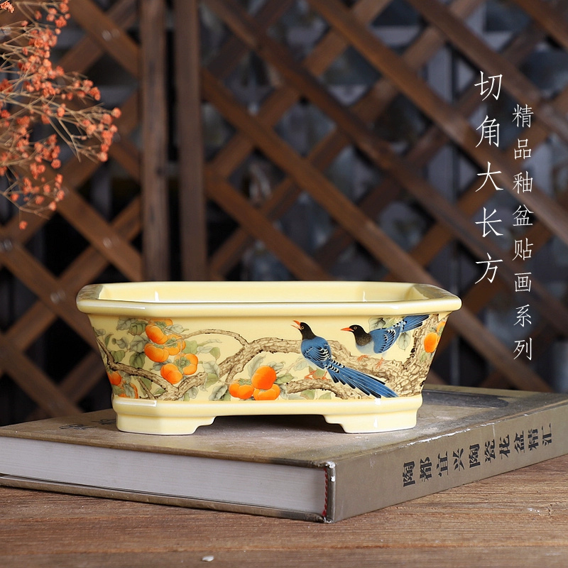 Pot Bonsai persegi panjang por - Bonsai Garden Desk ulasan dan harga