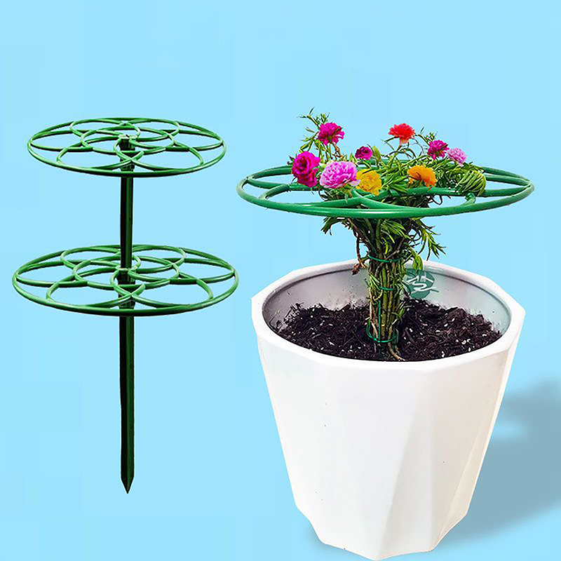 Baru! 1 Buah Bingkai Tanaman P - Bonsai Garden Stand ulasan dan harga