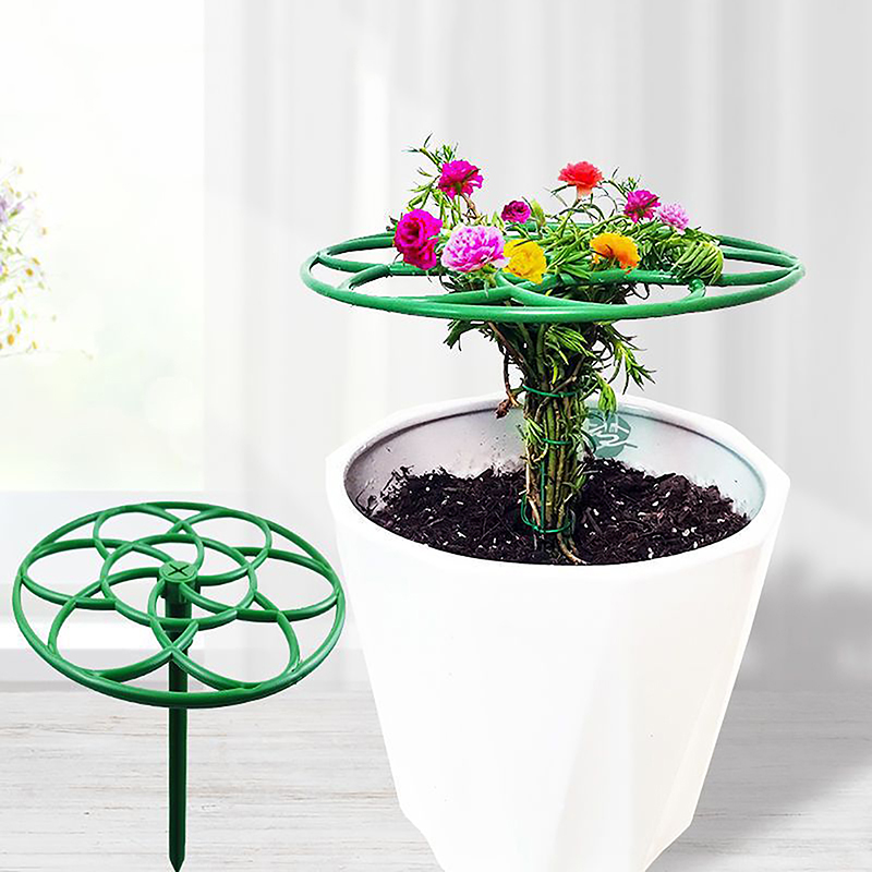 Baru! 1 Buah Bingkai Tanaman P - Bonsai Garden Stand ulasan dan harga