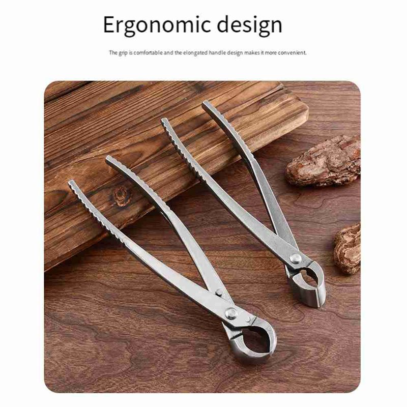 Set Alat Pemangkas Pohon Bonsa - Root Hook Tool ulasan dan harga