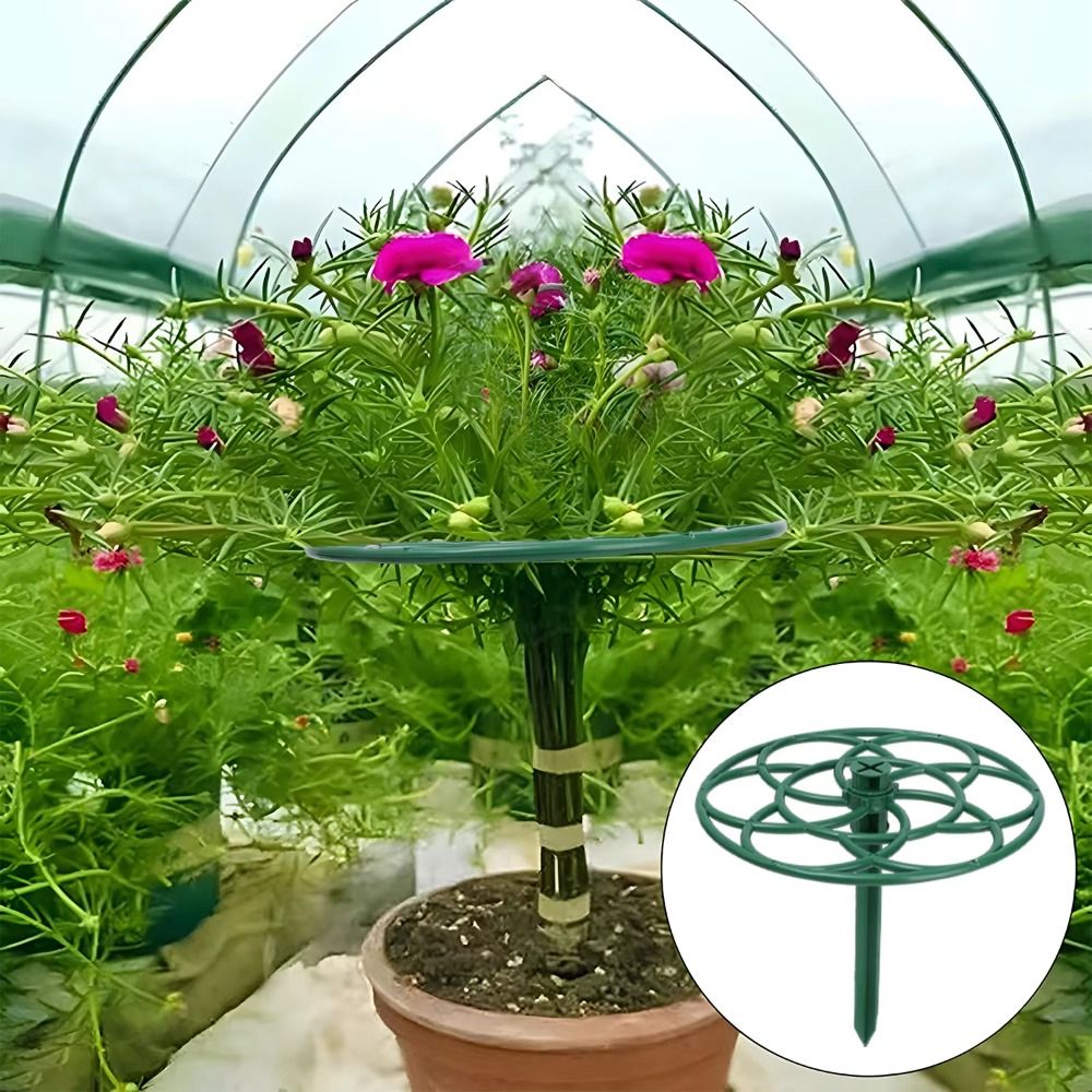 Rangka Panjat Bonsai S/M/L Pla - Bonsai Garden Stand ulasan dan harga