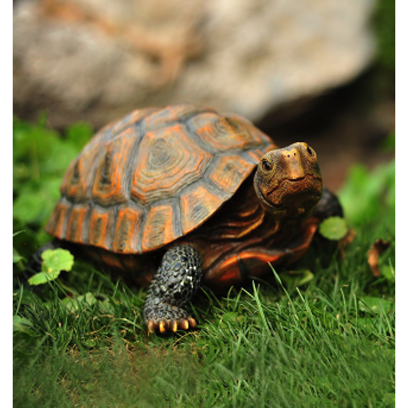 Cute Resin Tortoise Patung Lua - Bonsai Garden With Pond ulasan dan harga