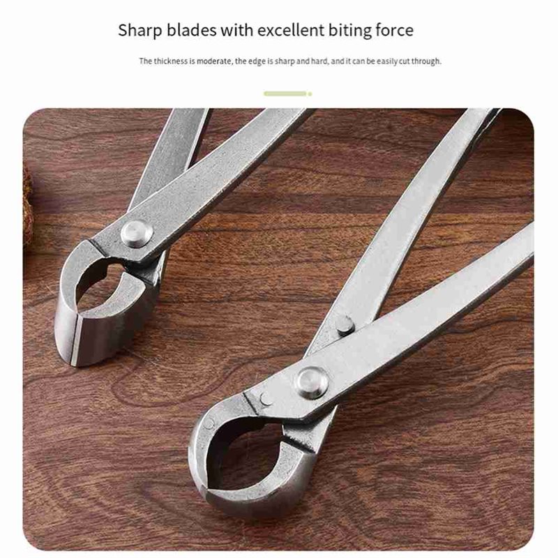 Peralatan Pohon Bonsai ABGH, S - Root Hook Tool ulasan dan harga