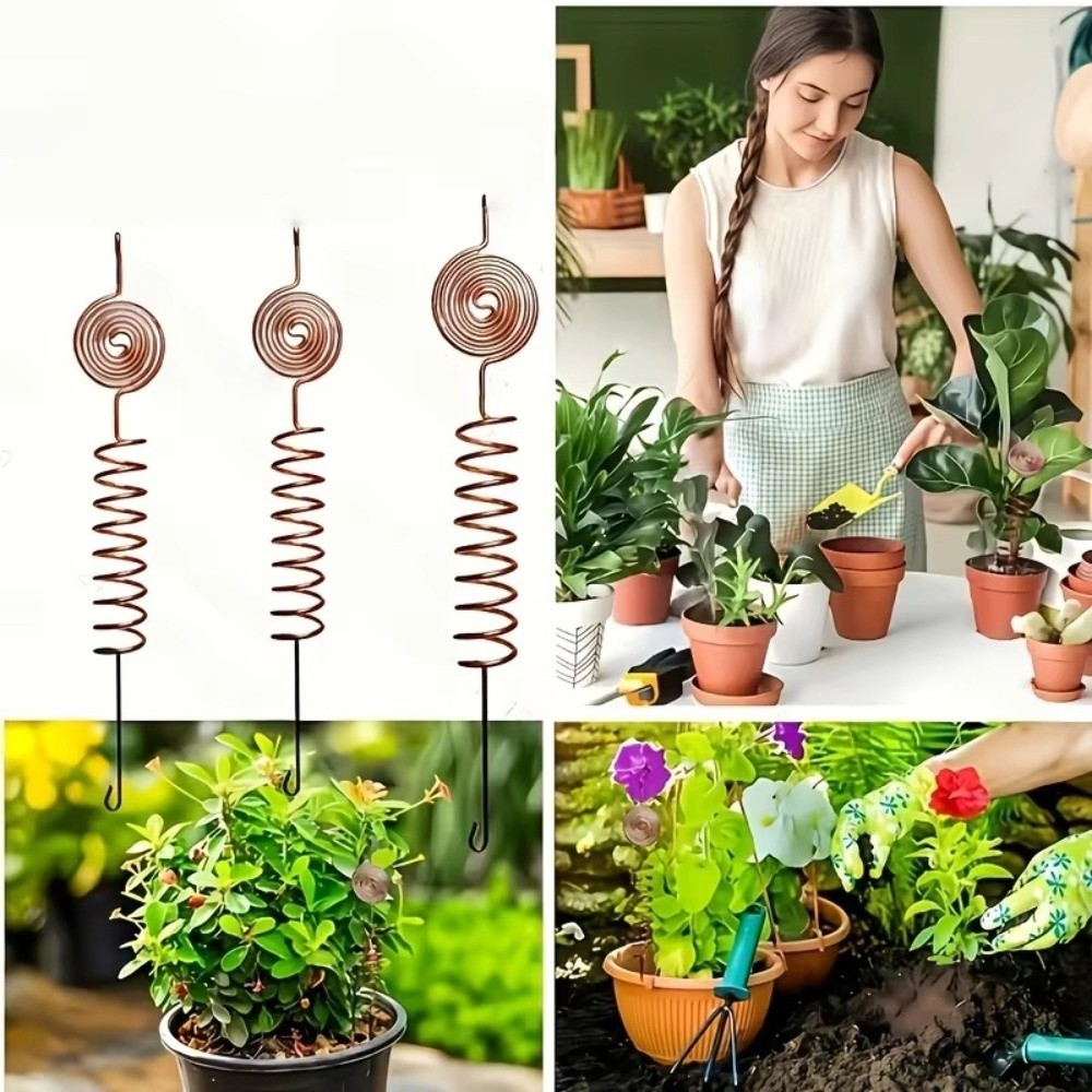 3 Buah Tiang Tanaman Elektroku - Bonsai Garden Stand ulasan dan harga