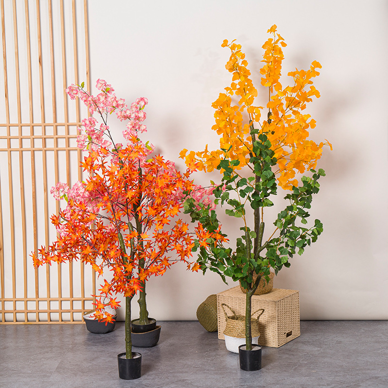 Tanaman Bonsai Daun Ginkgo Pot - Bonsai Garden Restaurant ulasan dan harga