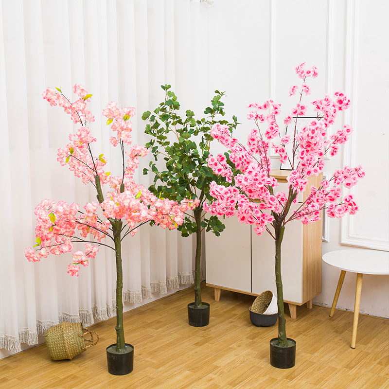 Tanaman Bonsai Daun Ginkgo Pot - Bonsai Garden Restaurant ulasan dan harga